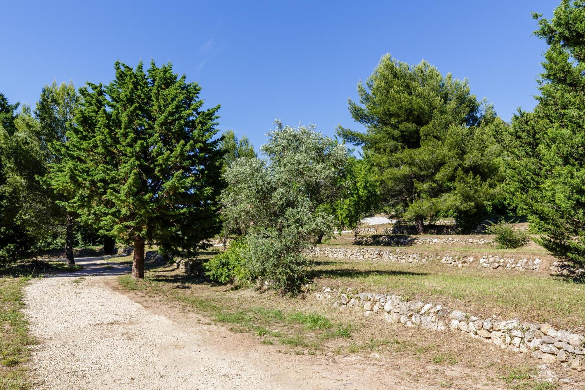 LODGES PARK CASTELLET PROVENCE - Gîtes dans les vignes AOC Bandol à 15 min des plages et du Circuit Paul Ricard F1 Le Beausset Quarto foto
